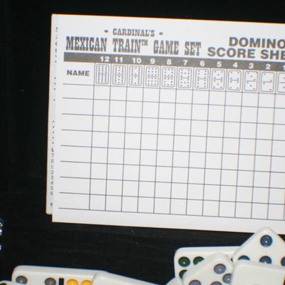 Domino Set in Silver Case
