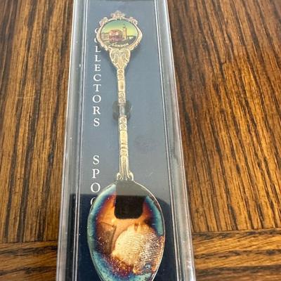 SOUVENIR SPOON COLLECTION