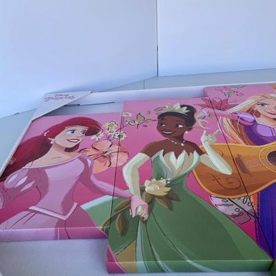 Disney Princess 5 Piece Canvas Art