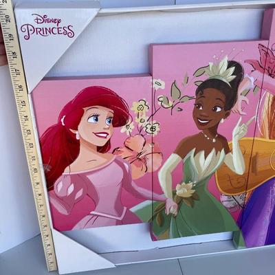 Disney Princess 5 Piece Canvas Art