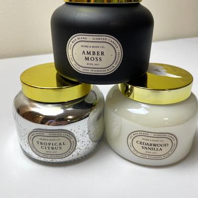 3 New Home & Body Soy Blend Candles