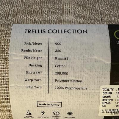 2 AREA RUGS