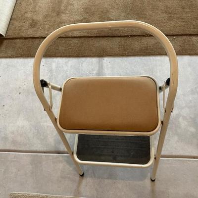 STEP LADDER AND AREA RUGS