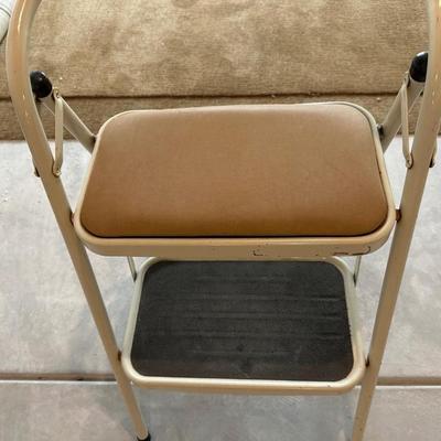 STEP LADDER AND AREA RUGS