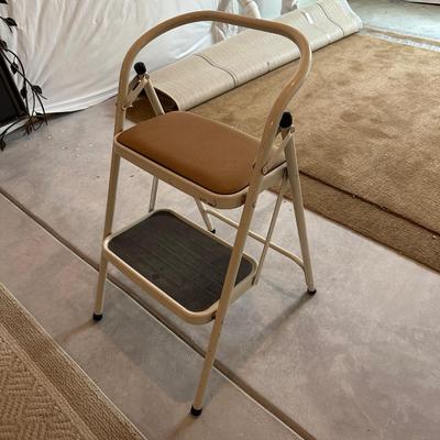 STEP LADDER AND AREA RUGS