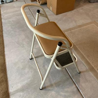 STEP LADDER AND AREA RUGS