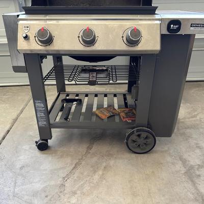 WEBER LP GAS GRILL AND TOOLS