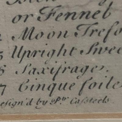 Sale Photo Thumbnail #129: Renowned series "Twelve Months of Flowers" Specifically Depicting the months of May and June. These prints are reproductions of engravings originally created for Robert Furber's influential 1730 publication "The Twelve Months of Flowers" which was notable