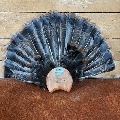LOT 97: Wild Turkey Gobbler Tail Fan & Beard Mounted on Display Board