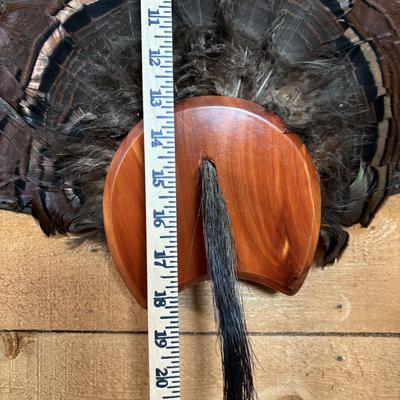 LOT 97: Wild Turkey Gobbler Tail Fan & Beard Mounted on Display Board