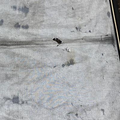 LOT 129: Lund Tonneau Cover