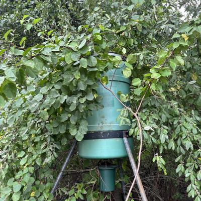 LOT 149: Deer Feeder = As Found