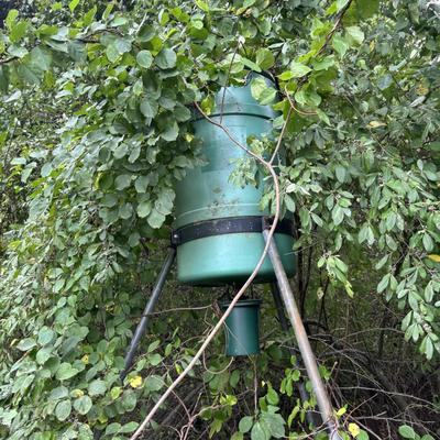 LOT 149: Deer Feeder = As Found