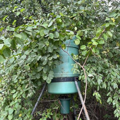 LOT 149: Deer Feeder = As Found