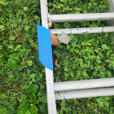 32 FT Extension Ladder Aluminum