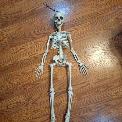 Sale Photo Thumbnail #1065: skeleton approx 3 ft
