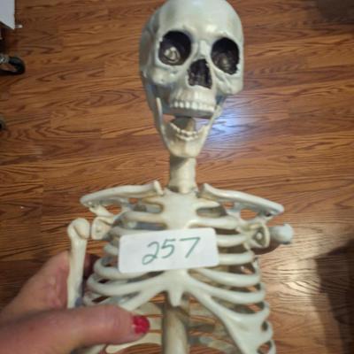 Sale Photo Thumbnail #1067: skeleton approx 3 ft