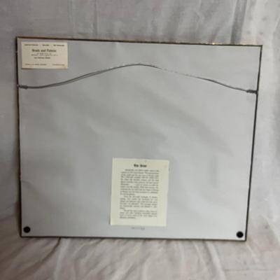 Two Framed North Carolina Maps (T2-MG)