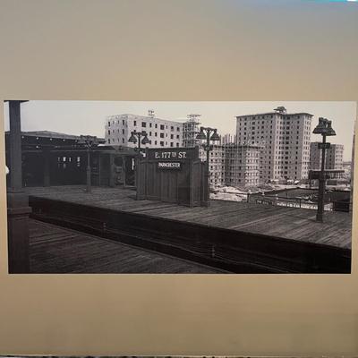 Black & White Train Photos & Prints (T1-MG)
