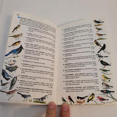 Sears Binoculars and Bird Watching Books (LR-EL)