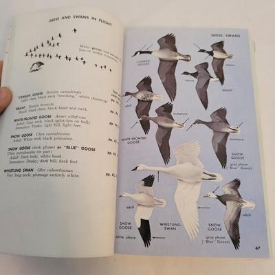 Sears Binoculars and Bird Watching Books (LR-EL)