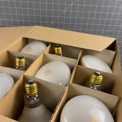 3 Dozen (36) 65 W Flood Lights