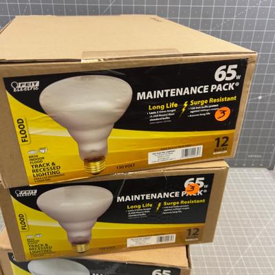 3 Dozen (36) 65 W Flood Lights