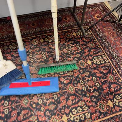 Broom Brush and Snow Brum