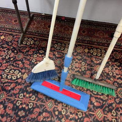 Broom Brush and Snow Brum