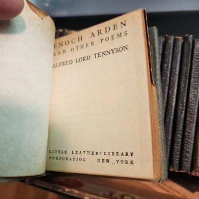 Lot of 32 Little Leather Library Books