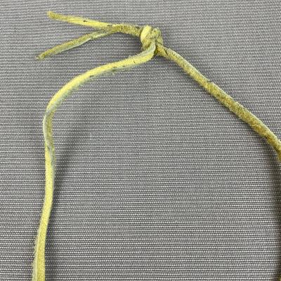 Bear Claw Pendant Leather Necklace