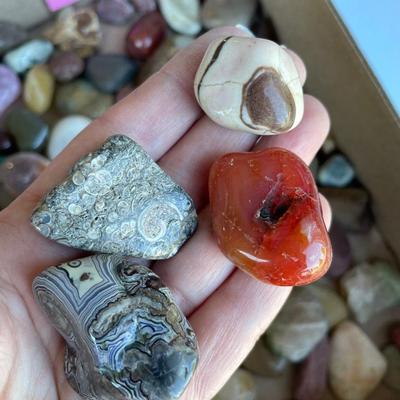 Lot 36 Rocks and Gemstones