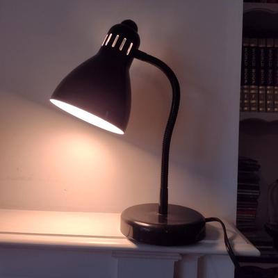 Adjustable Desk/Table Top Lamp