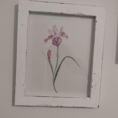 Pair of Botanical Prints- Framed Under Glass- Approx 10" x 12"