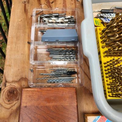 Massive Drill Bit lot Irwin, Delta, Black and Decker, Fuller Countersinks, Forstner, Brad Point Woodbits Germany, Bosch, and others