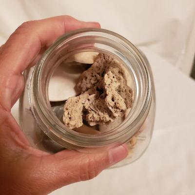Collection of Rocks and Shells (LR-KD)