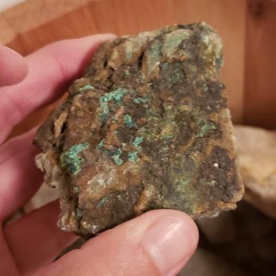 Collection of Rocks and Shells (LR-KD)