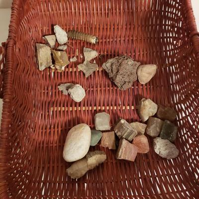 Collection of Rocks and Shells (LR-KD)