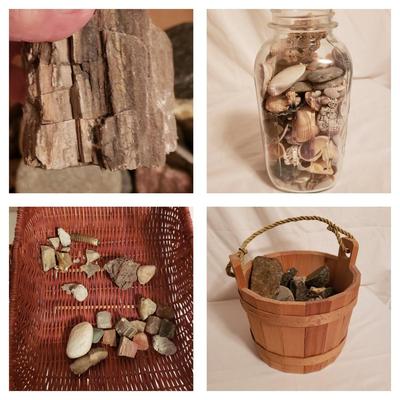 Collection of Rocks and Shells (LR-KD)