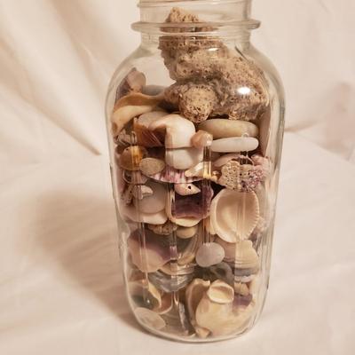 Collection of Rocks and Shells (LR-KD)