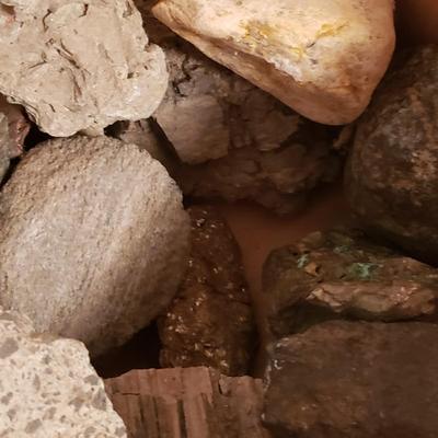 Collection of Rocks and Shells (LR-KD)