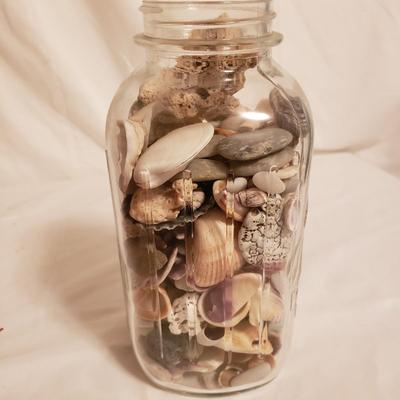 Collection of Rocks and Shells (LR-KD)