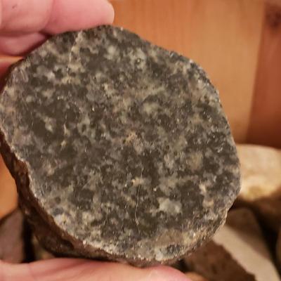 Collection of Rocks and Shells (LR-KD)