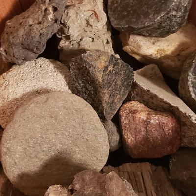Collection of Rocks and Shells (LR-KD)