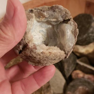 Collection of Rocks and Shells (LR-KD)