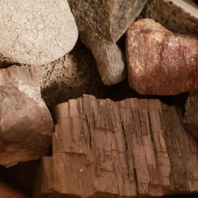 Collection of Rocks and Shells (LR-KD)