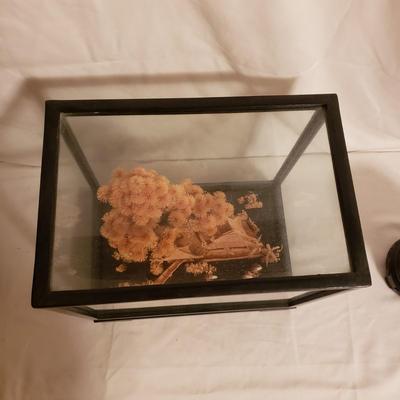 Pagoda Shadow Box W/Pair of Cloisonne Style Ginger Jars (LR-KD)