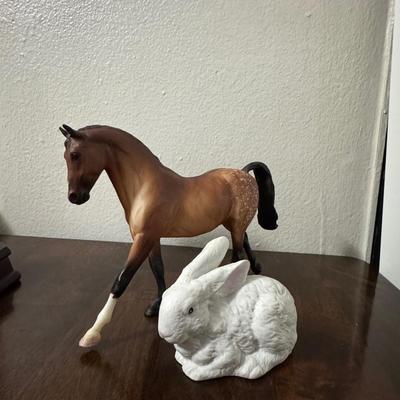 Northern America mustang horse.