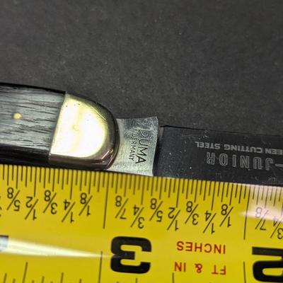 Sale Photo Thumbnail #566: 835 Puma Germany  - Junior New Stainless Super Keen Cutting Steel 2 Blade Pocket Knife #4