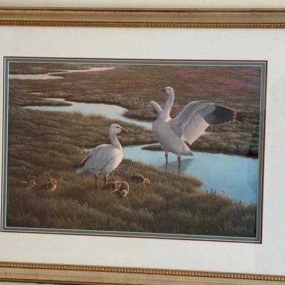 Sale Photo Thumbnail #60: Framed and Double Matted